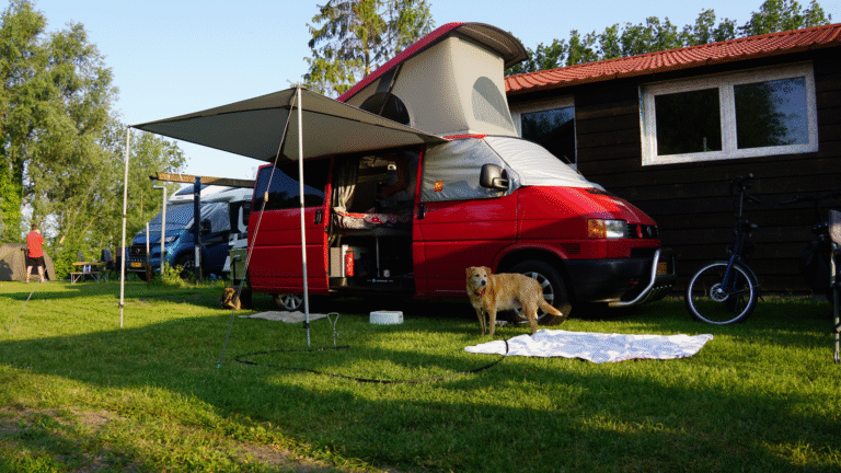 hond die voor de camper licht